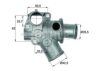 FIAT 60812296 Thermostat, coolant